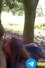 Smp Di Perkosa Rame Rame Di Pekarangan