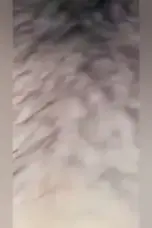 Viral Mesum Menjerit Kesakitan